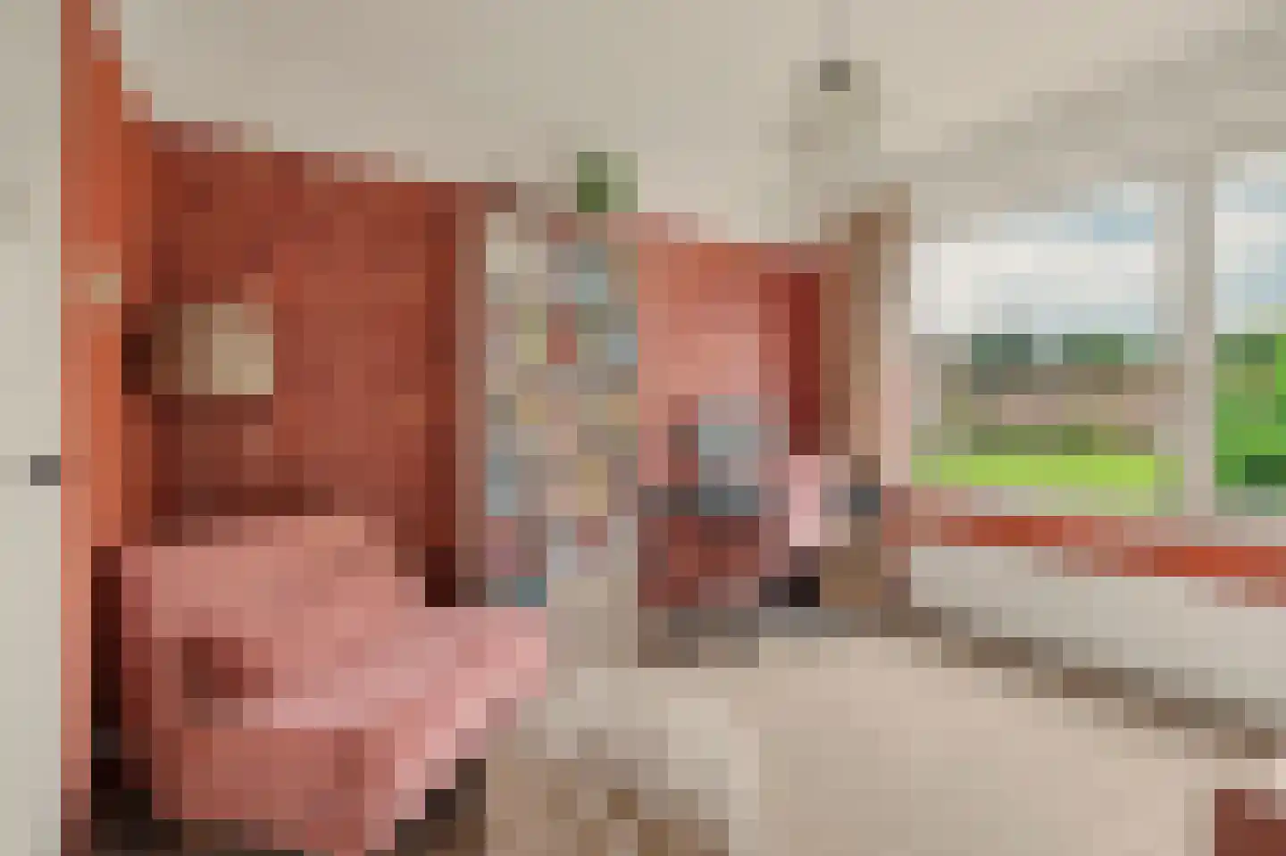 Tijgerstraat 141 Nijmegen thumbnail 29