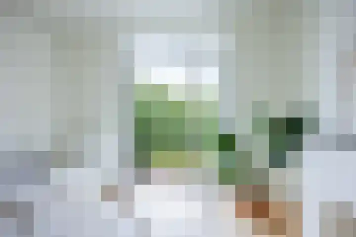 Tijgerstraat 147 Nijmegen thumbnail 10