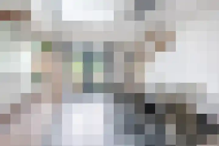 Tijgerstraat 15 Volkel thumbnail 19