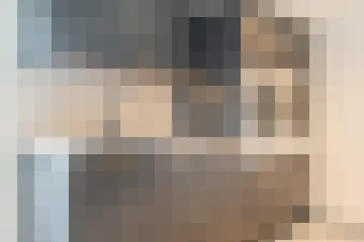 Tijgerstraat 15 Volkel thumbnail 26