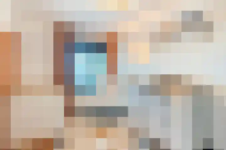 Tijgerstraat 15 Volkel thumbnail 31