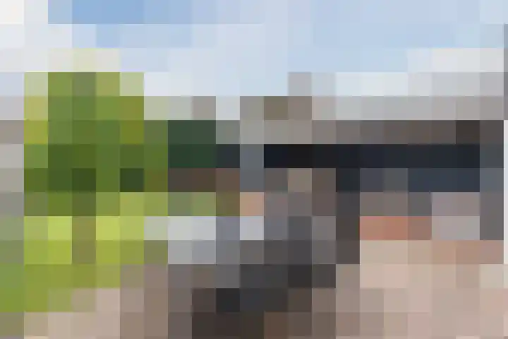 Tijgerstraat 15 Volkel thumbnail 39