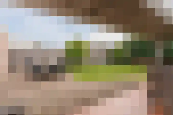 Tijgerstraat 15 Volkel thumbnail 41