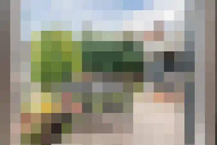 Tijgerstraat 15 Volkel thumbnail 5