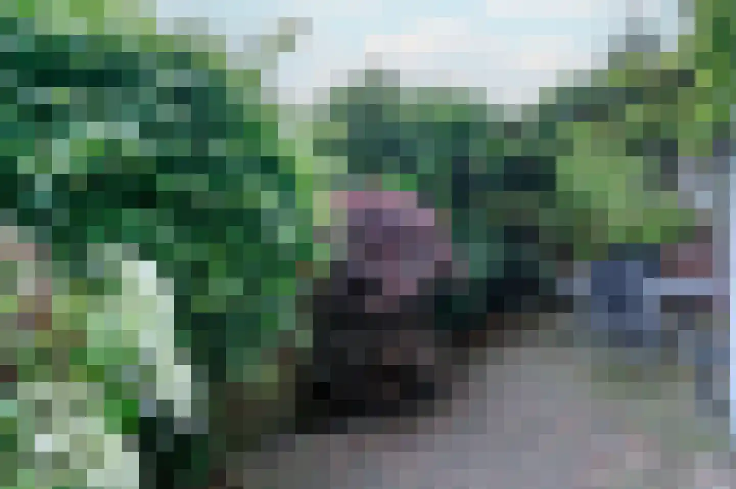 Tijgerstraat 191 Nijmegen thumbnail 18