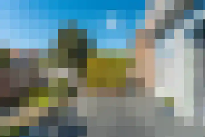 Tijgerstraat 20 Nijmegen thumbnail 13