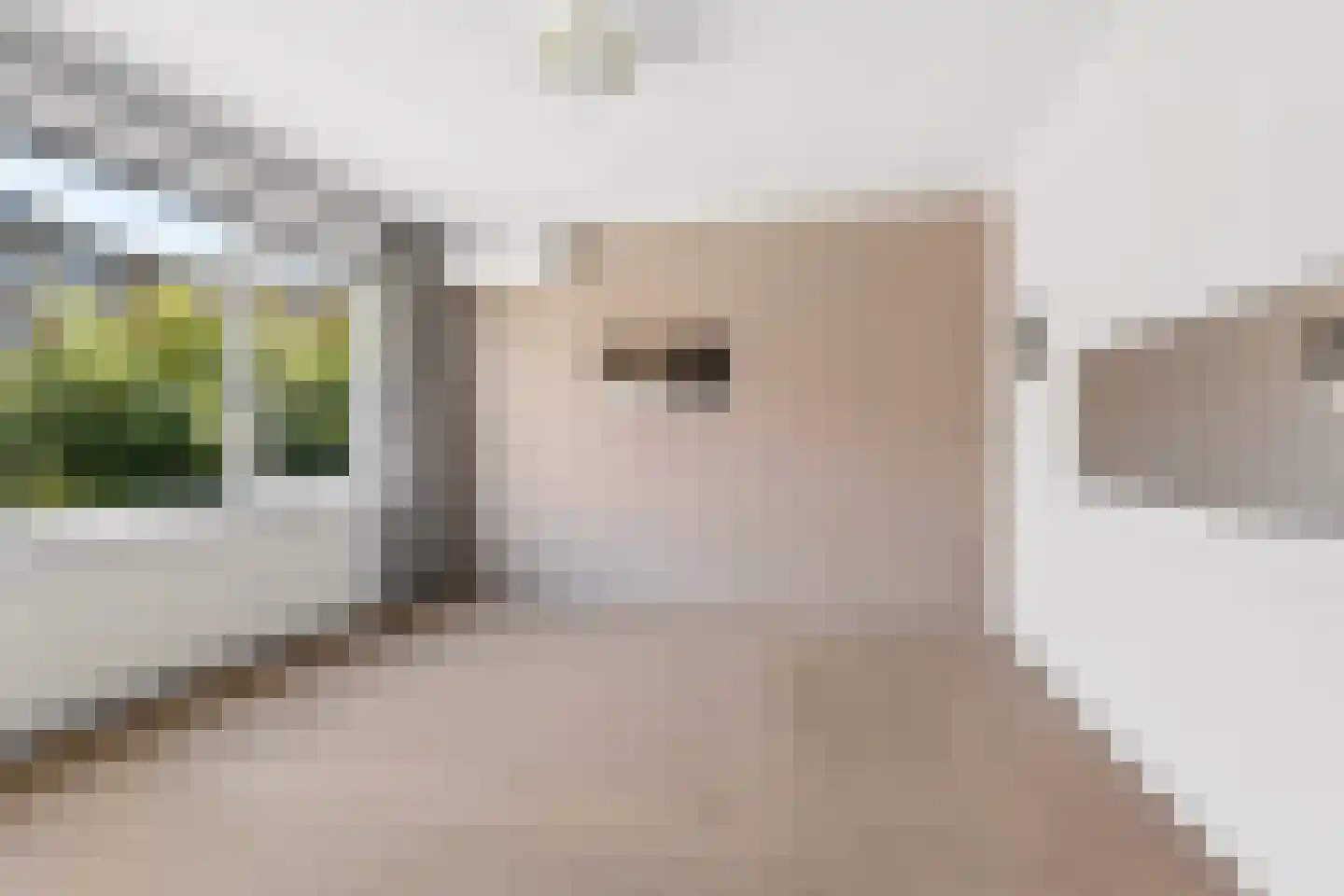 Tijgerstraat 20 Nijmegen thumbnail 17