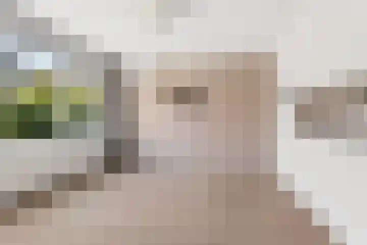 Tijgerstraat 20 Nijmegen thumbnail 17