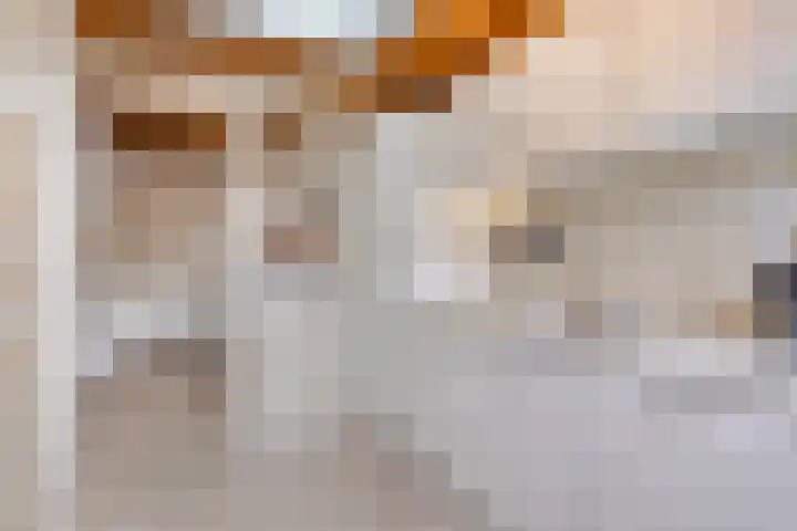 Tijgerstraat 28 Volkel thumbnail 10