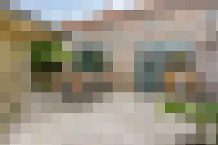 Tijgerstraat 28 Volkel thumbnail 26