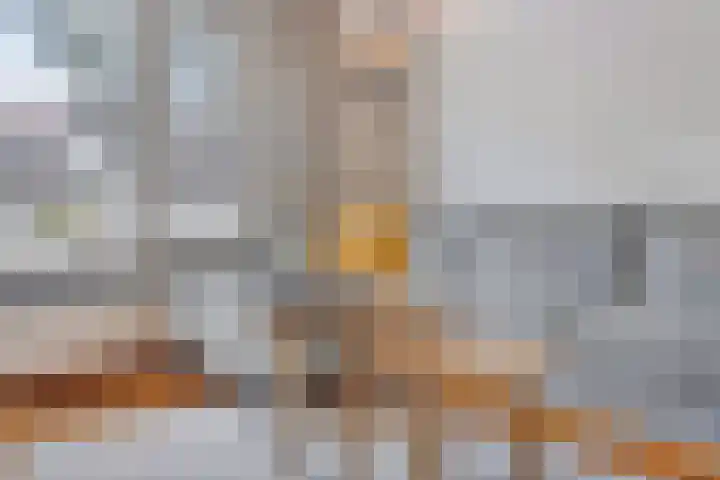 Tijgerstraat 28 Volkel thumbnail 5