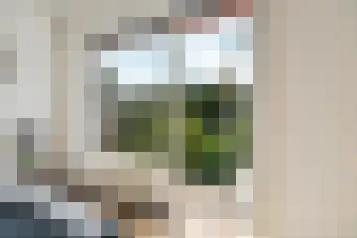 Tijgerstraat 30 Nijmegen thumbnail 28