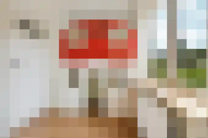 Tijgerstraat 30 Nijmegen thumbnail 33