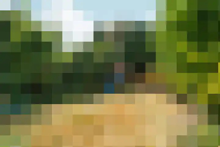 Tijgerstraat 30 Nijmegen thumbnail 48
