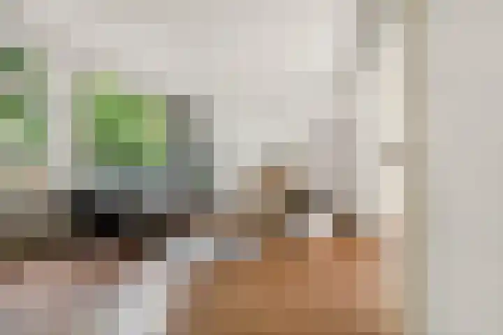 Tijgerstraat 30 Nijmegen thumbnail 5