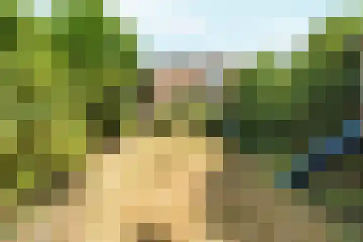 Tijgerstraat 30 Nijmegen thumbnail 51