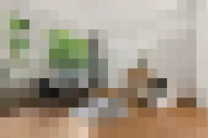 Tijgerstraat 30 Nijmegen thumbnail 6