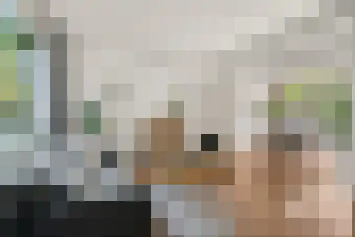 Tijgerstraat 30 Nijmegen thumbnail 7