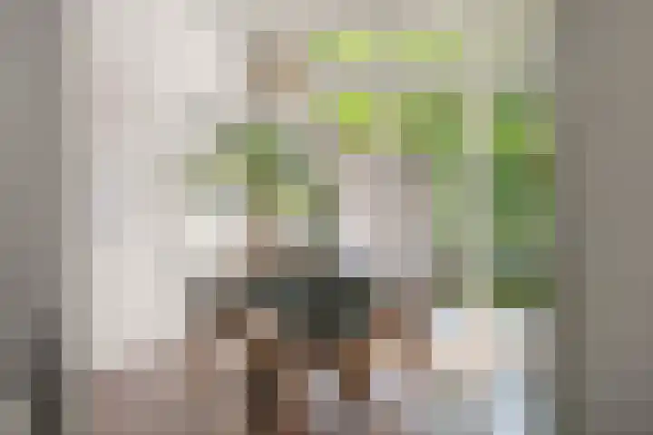 Tijgerstraat 30 Nijmegen thumbnail 8