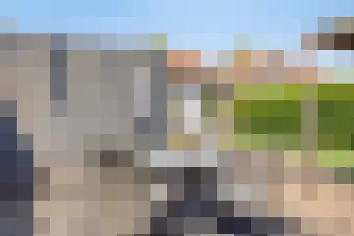 Tijgerstraat 39 Volkel thumbnail 39