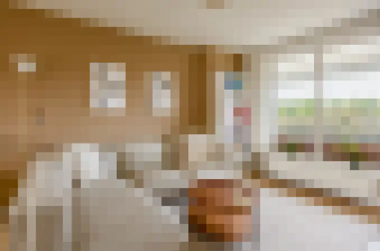 Tijgerstraat 57 Nijmegen thumbnail 8