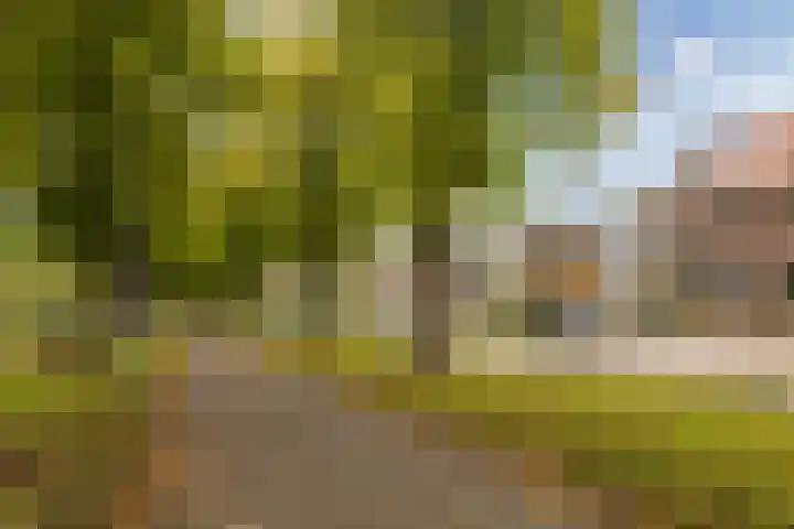 Tijgerstraat 71 Nijmegen thumbnail 27
