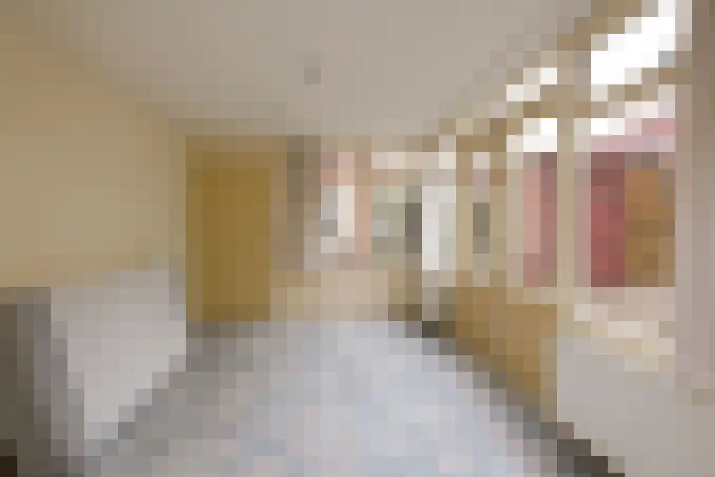 Tijhofslaan 2 Almelo thumbnail 10