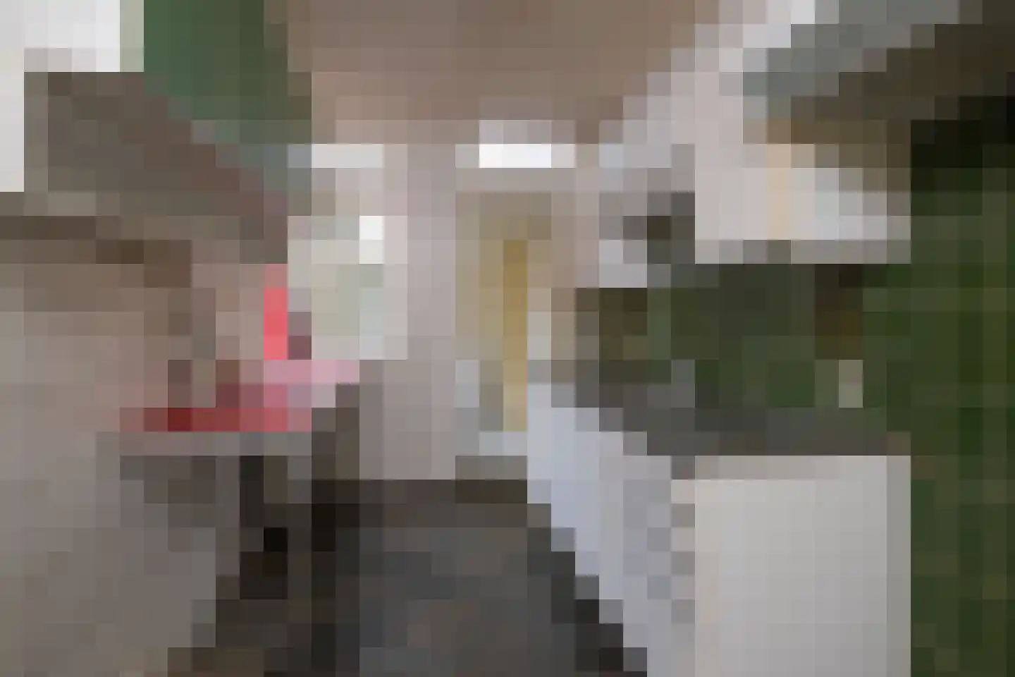Tijhofslaan 2 Almelo thumbnail 9