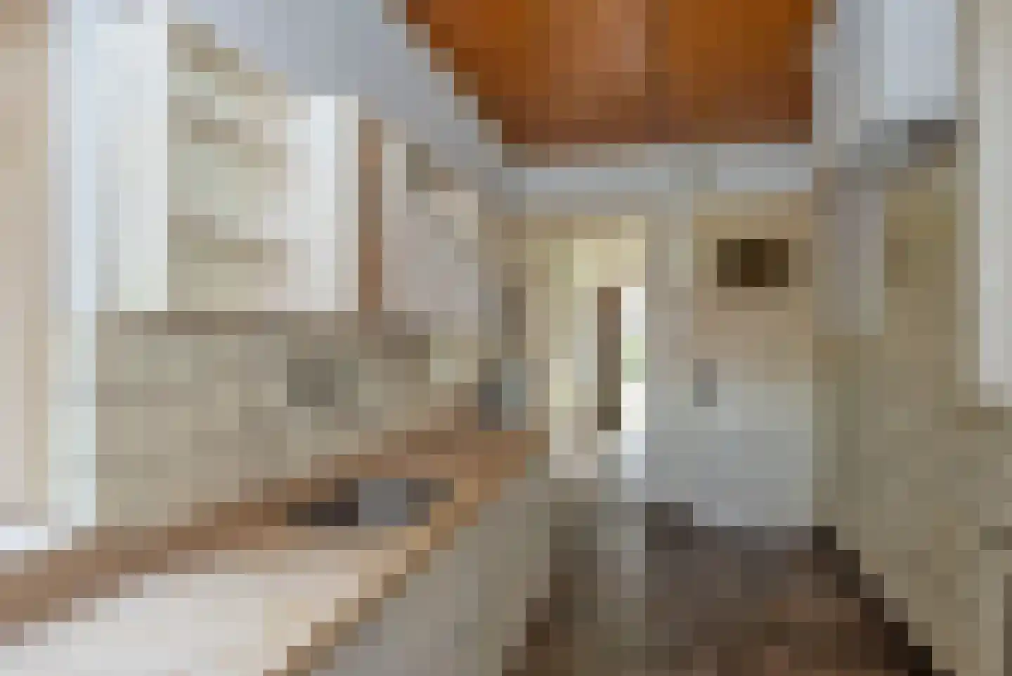 Tijhofslaan 4 Almelo thumbnail 10
