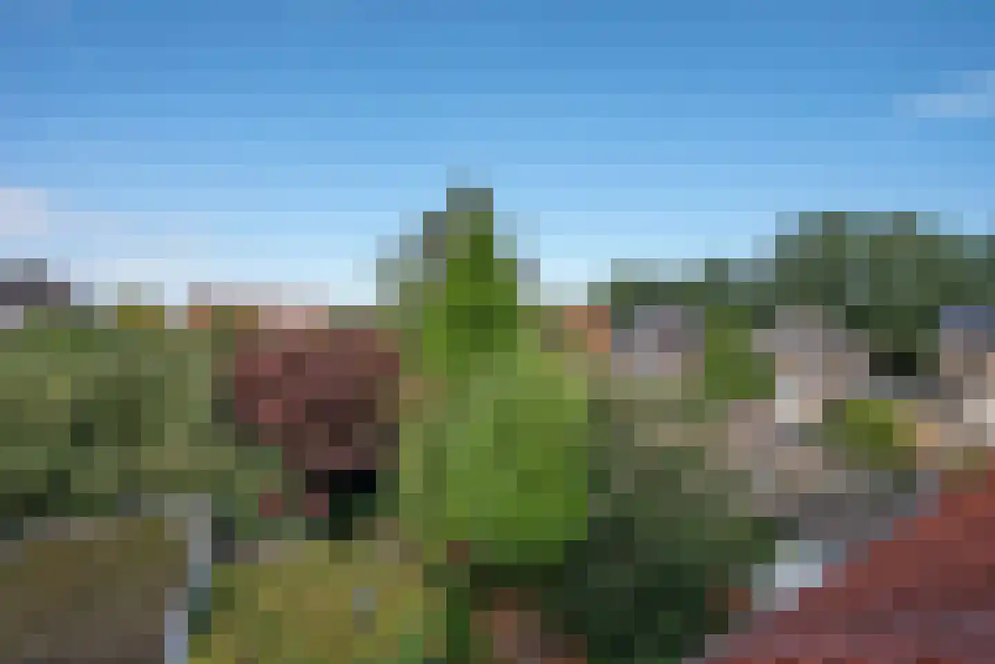 Tijhofslaan 4 Almelo thumbnail 24