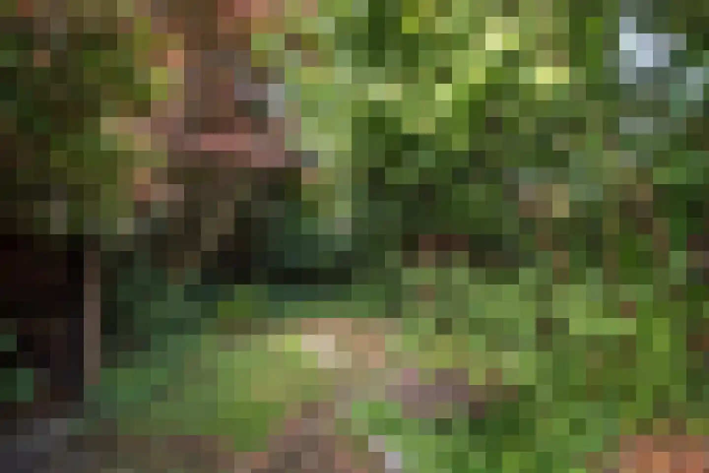 Tijhofslaan 4 Almelo thumbnail 33