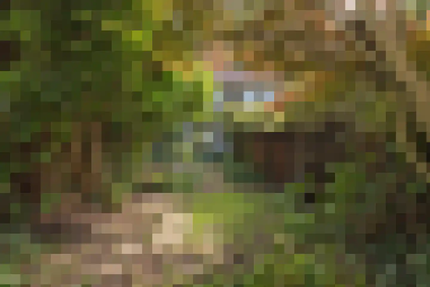 Tijhofslaan 4 Almelo thumbnail 4