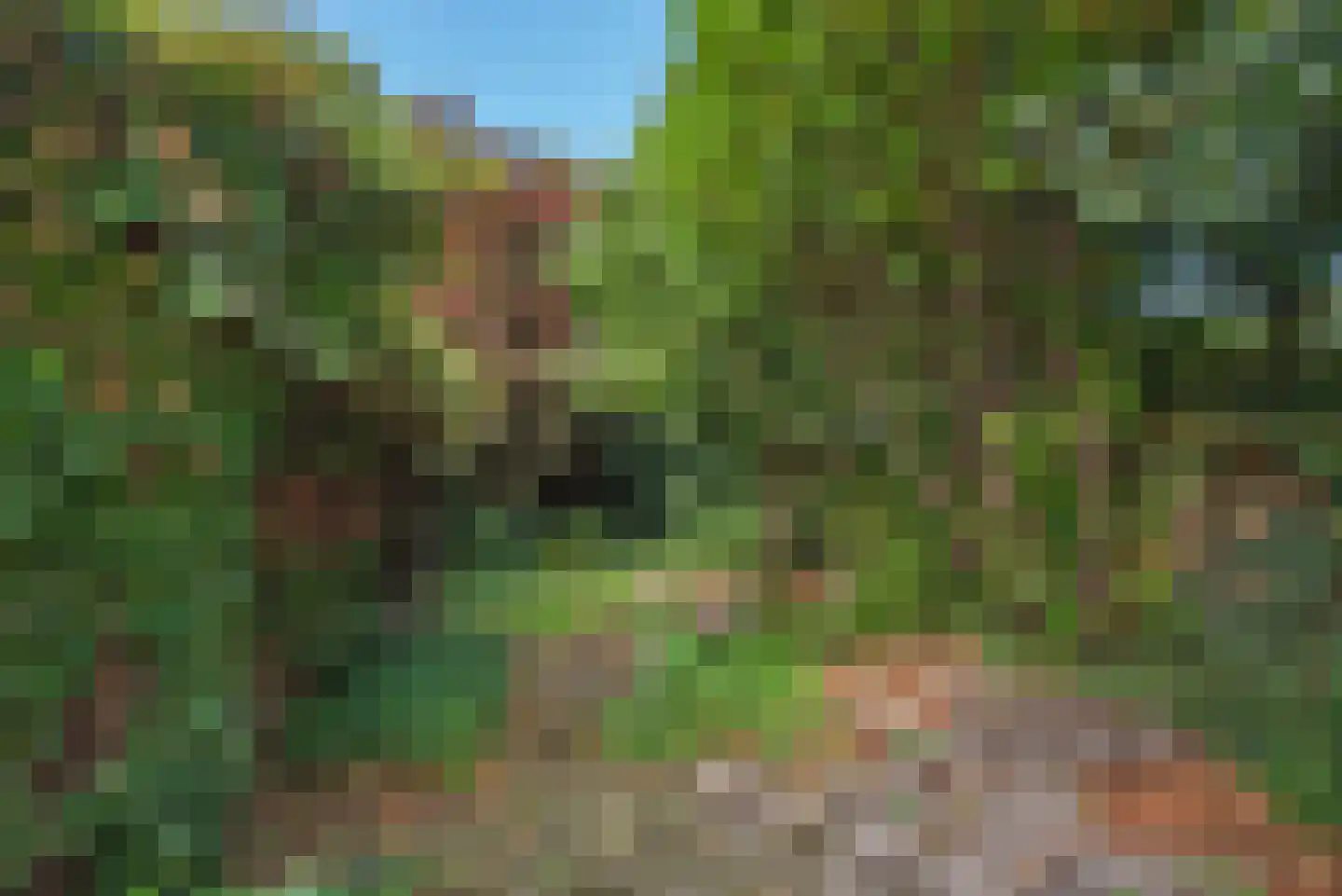 Tijhofslaan 4 Almelo thumbnail 5
