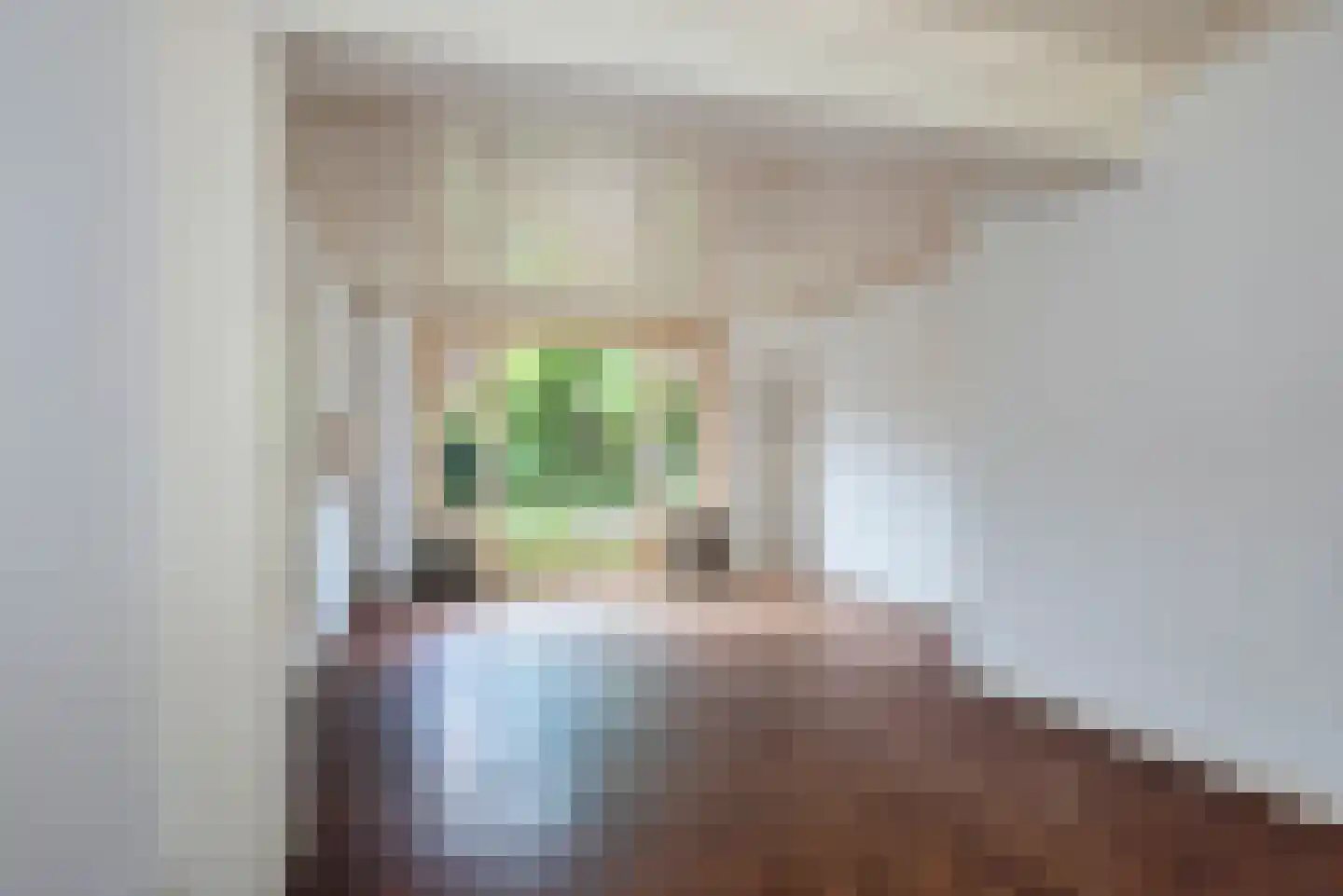 Tijhofslaan 4 Almelo thumbnail 8