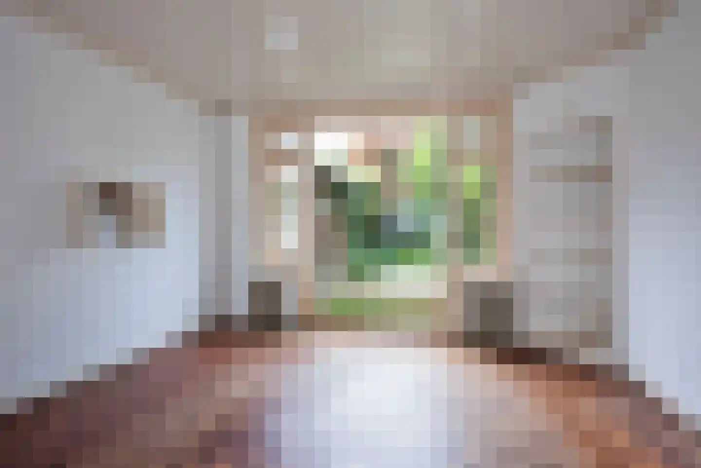 Tijhofslaan 4 Almelo thumbnail 9