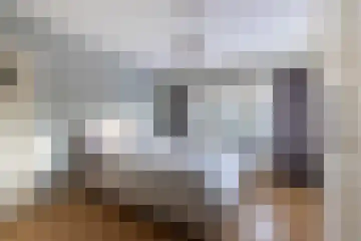 Tijhofslaan 51 Almelo thumbnail 19