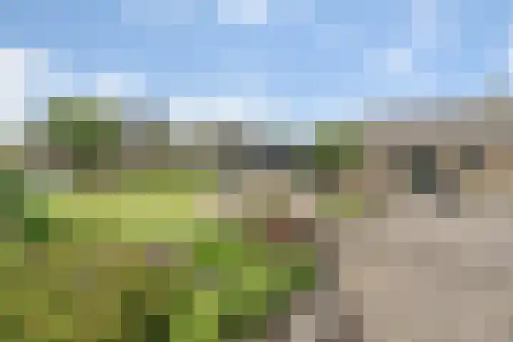 Tijhuiserve 3 Nijverdal thumbnail 11