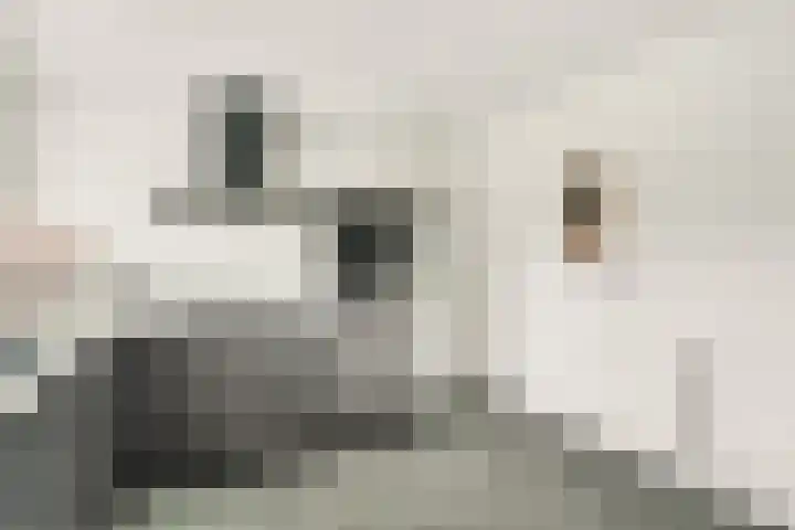 Tijhuiserve 3 Nijverdal thumbnail 23