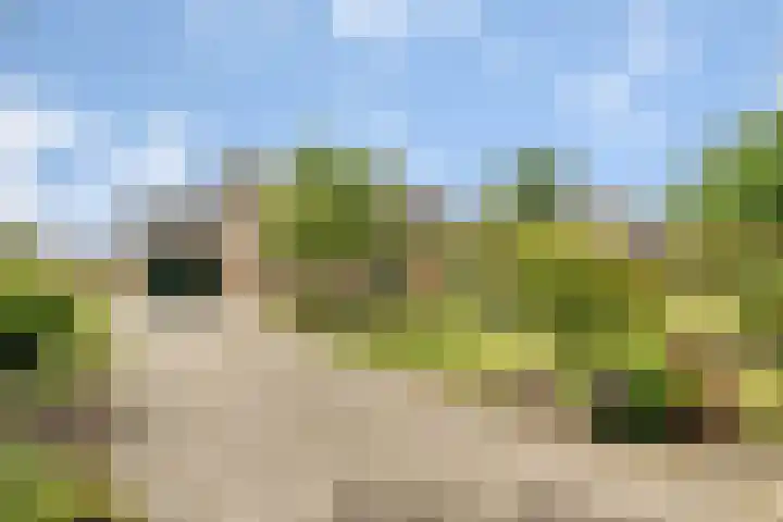 Tijhuiserve 3 Nijverdal thumbnail 44