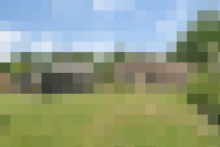 Tijhuiserve 3 Nijverdal thumbnail 7
