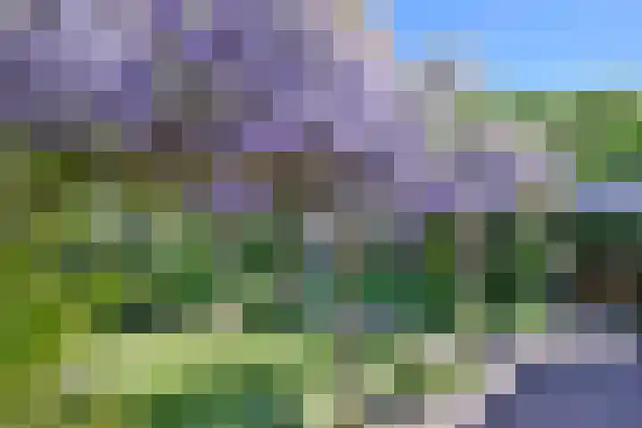 Tijinkweg 7 Deventer thumbnail 48