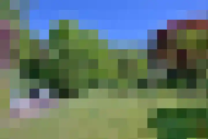 Tijinkweg 7 Deventer thumbnail 58