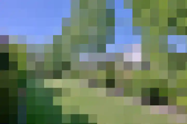 Tijinkweg 7 Deventer thumbnail 59