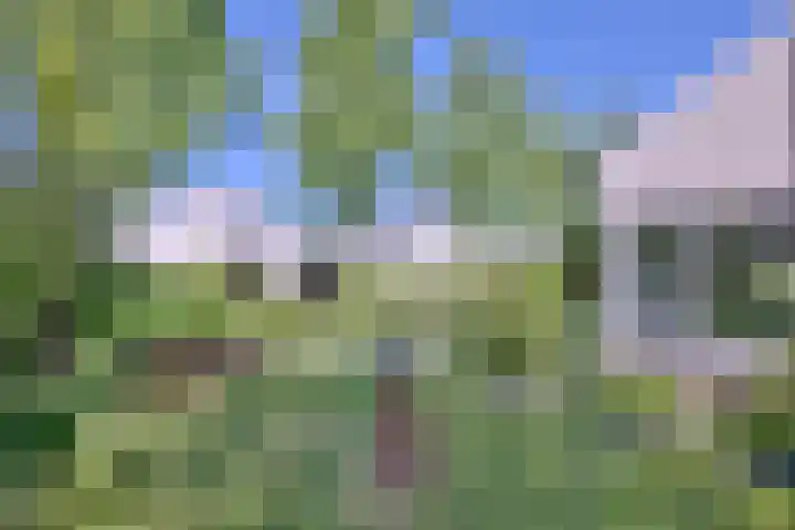 Tijinkweg 7 Deventer thumbnail 63