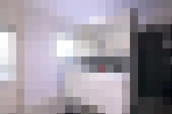 Tijinkweg 7 Deventer thumbnail 9