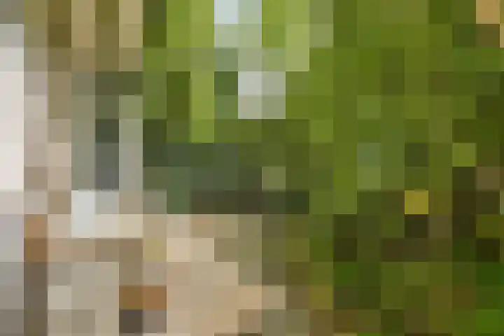 Tijl Uilenspiegelstraat 4 Amsterdam thumbnail 16