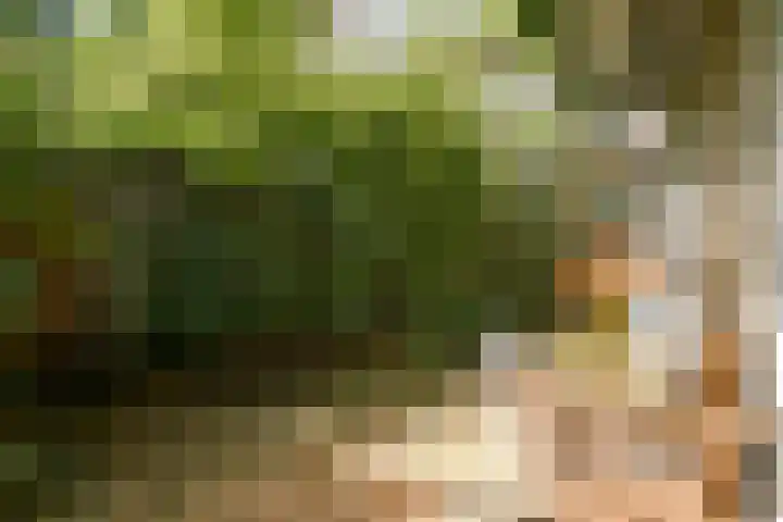 Tijl Uilenspiegelstraat 4 Amsterdam thumbnail 5