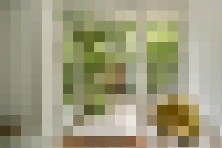 Tijl Uilenspiegelstraat 4 Amsterdam thumbnail 6
