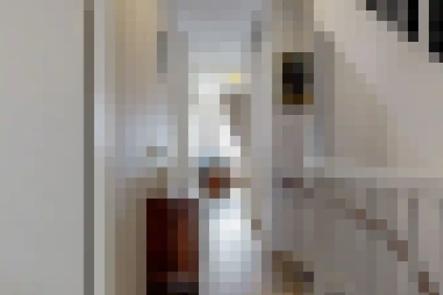 Tijloosstraat 36 Sassenheim thumbnail 21