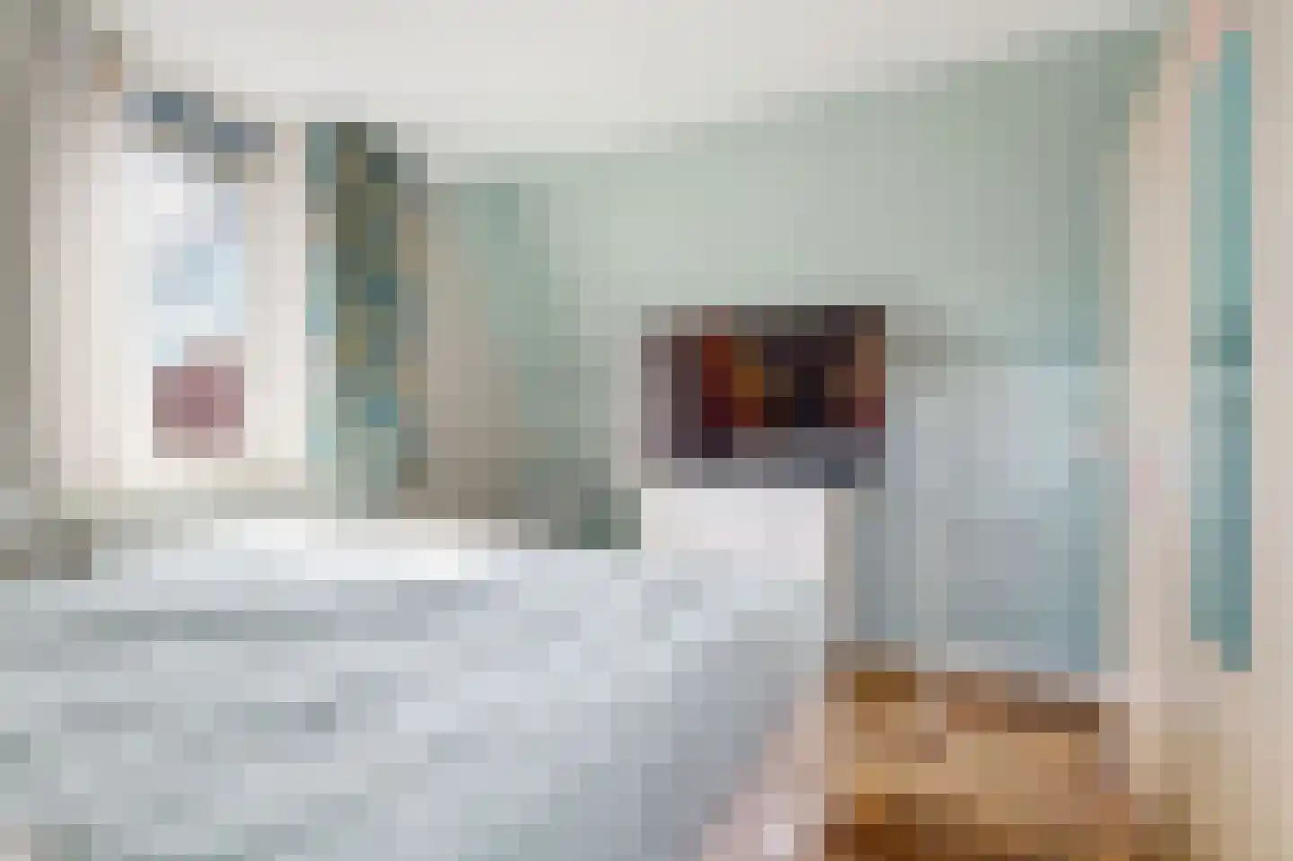 Tijloosstraat 36 Sassenheim thumbnail 23